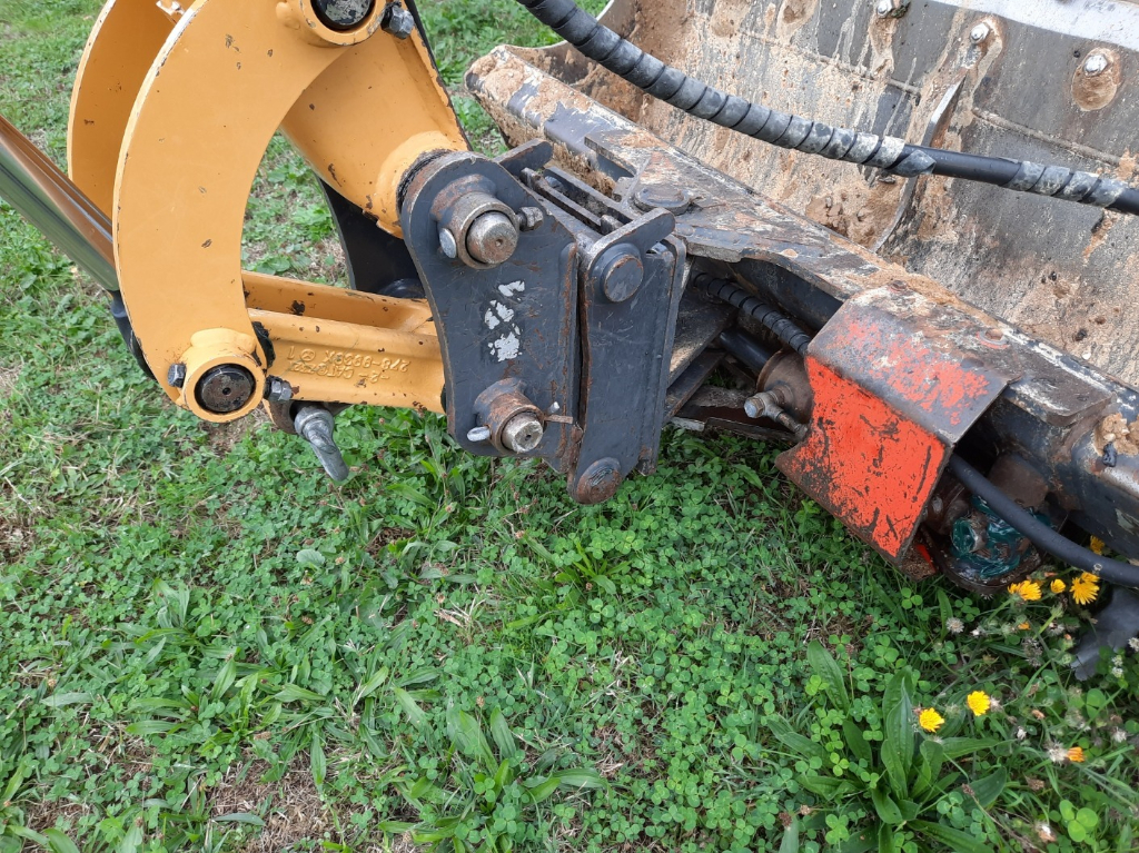 image-1786921247.jpeg